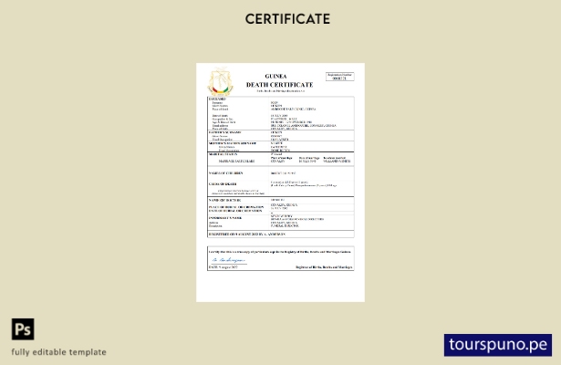 listo para imprimir Certificado de defunción de Guinea Plantilla Word y PDF, pla